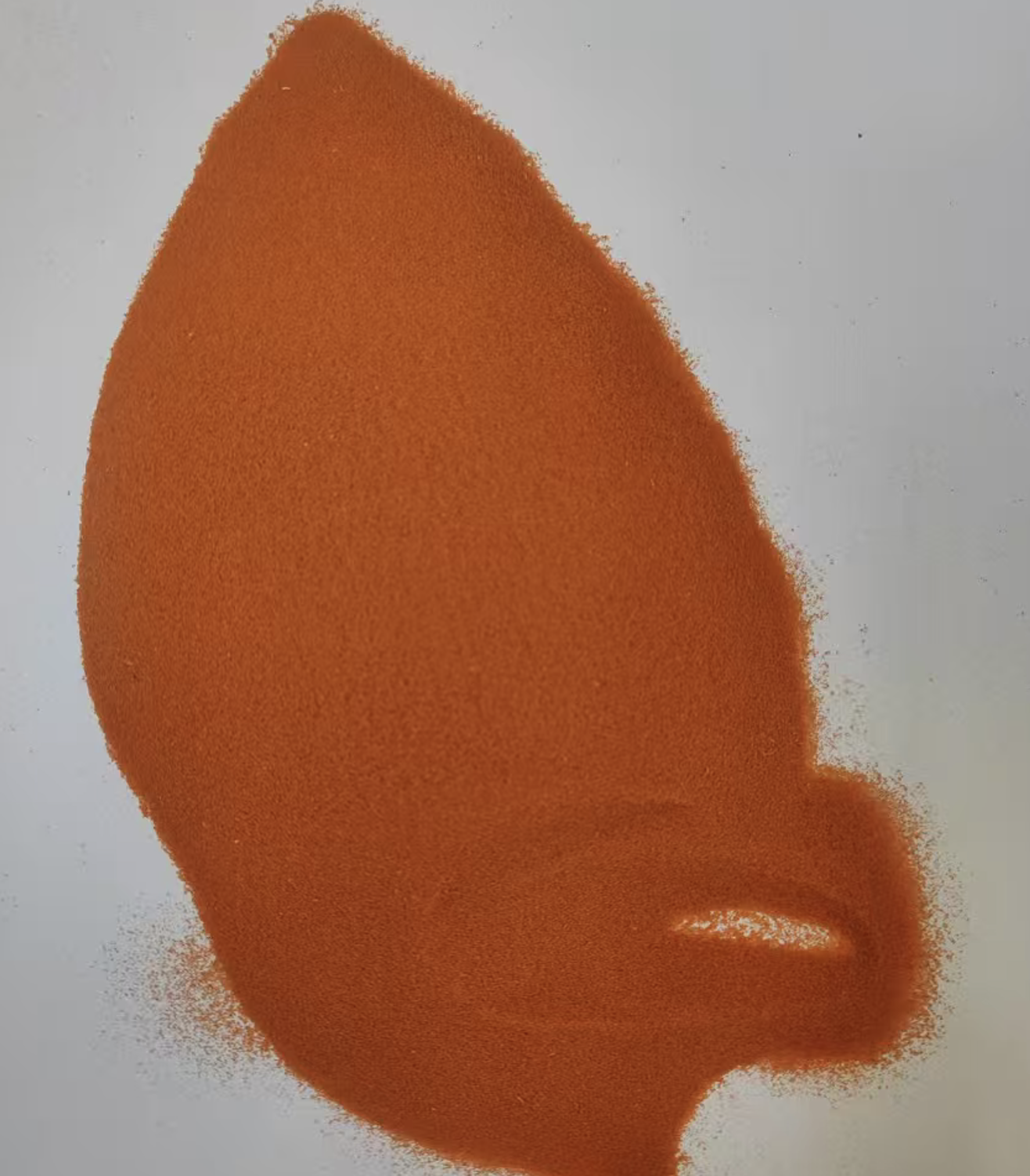 Decapsulated artemia cysts